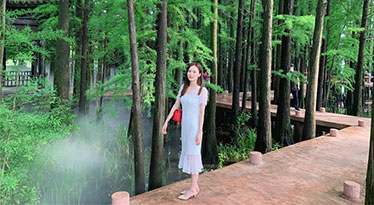 光芒——是溫柔小姐姐，也是閃耀著堅韌的光芒