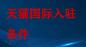 天貓國(guó)際