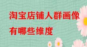 淘寶店鋪人群畫像有哪些維度